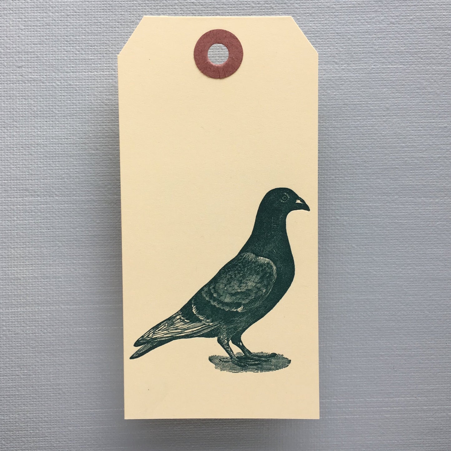 Pigeon Tag