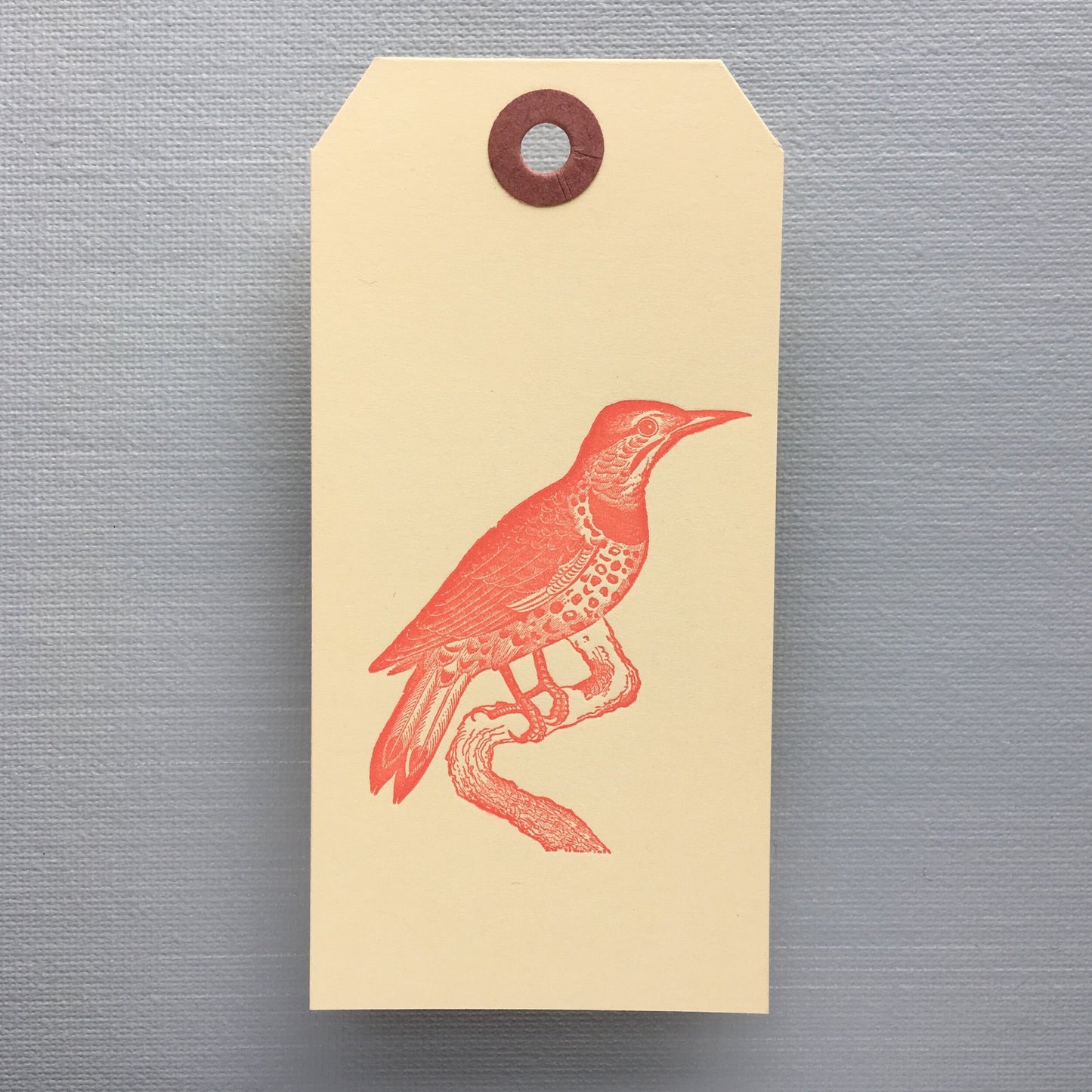 Spotted Bird Tag