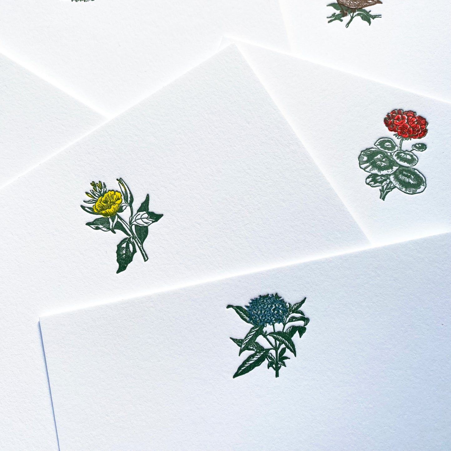 Tiny Garden Notes Set