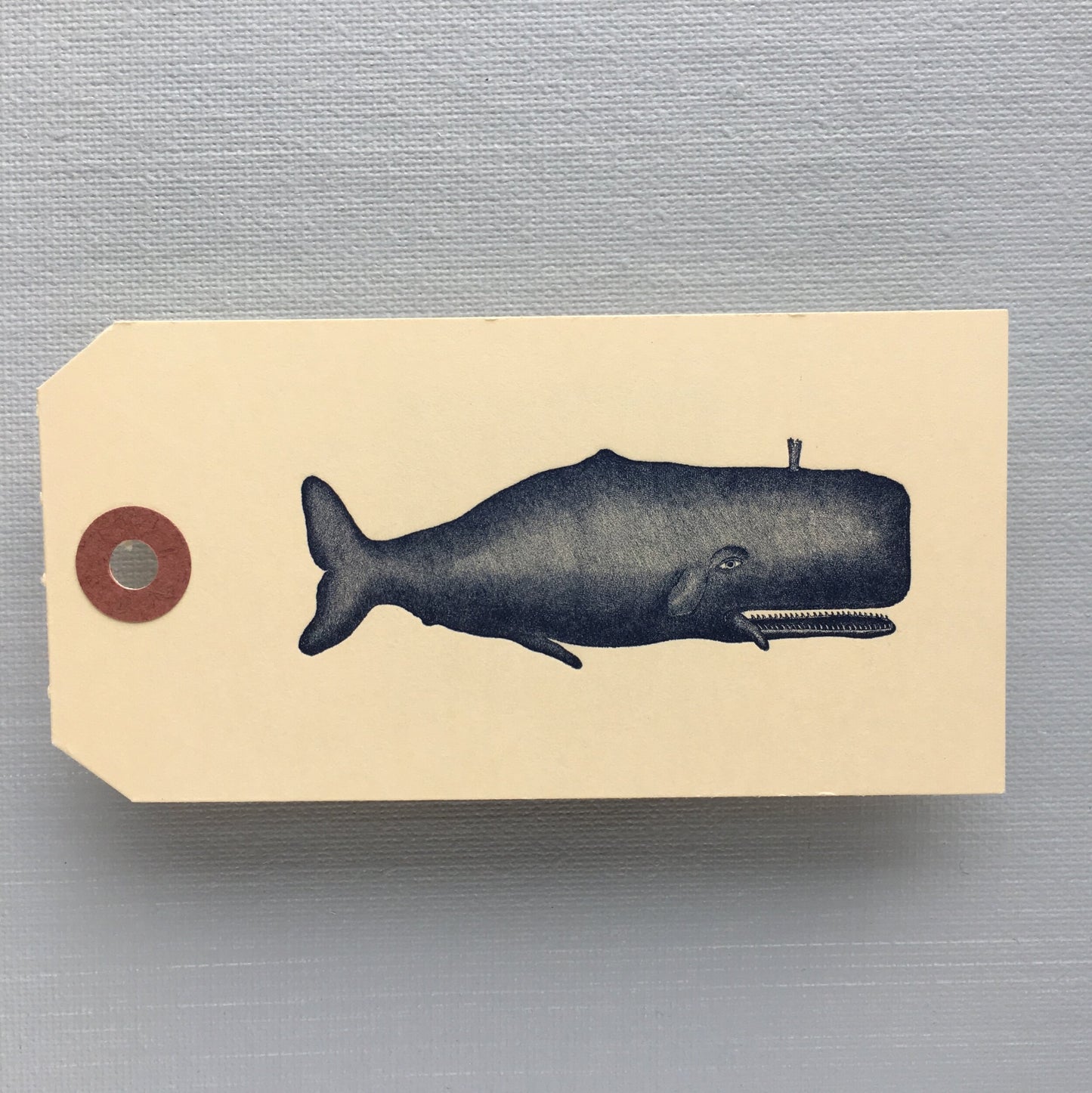 Whale Tag