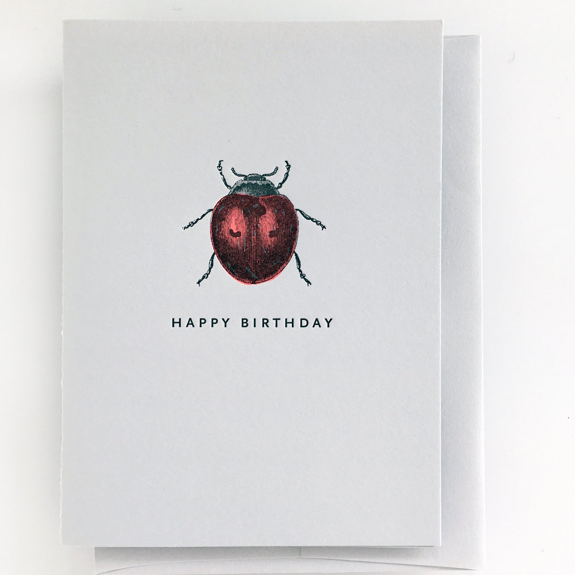 Ladybug Happy Birthday Card