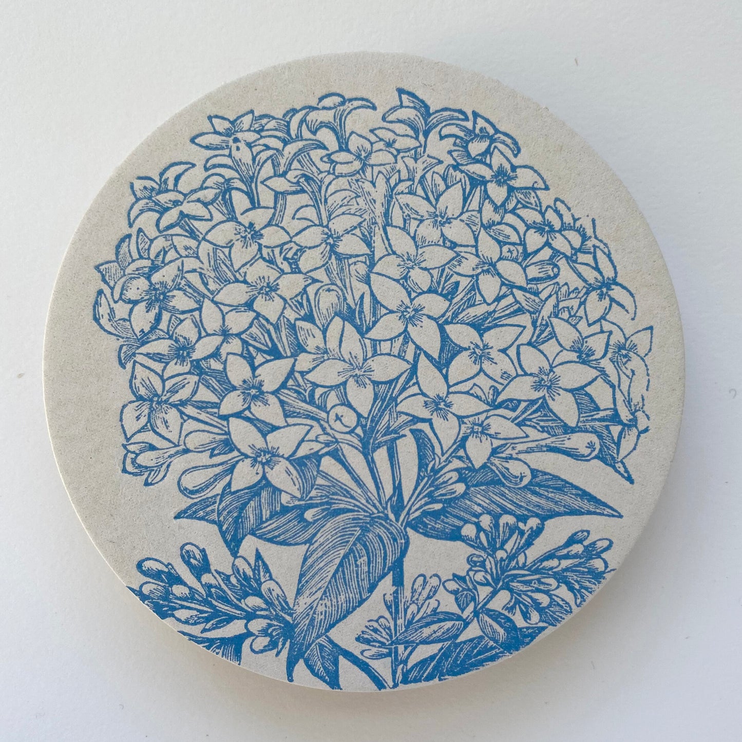 Letterpress Blue Hydrangea Coasters