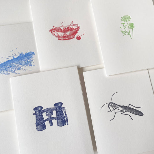 Summer & Fall Scenes Card Set